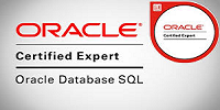 Oracle Database SQL Expert for Oracle Database 11g