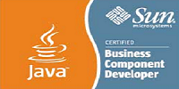 Sun Certified Business Component Developer