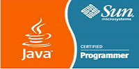 Sun Certified Java Programmer